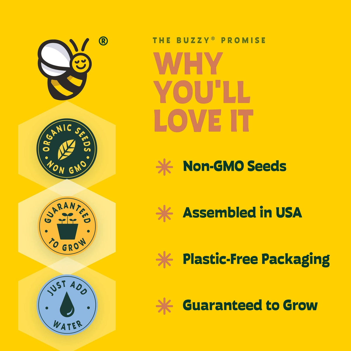 Sensitive Plant Grow Kit | Mimosa Pudica