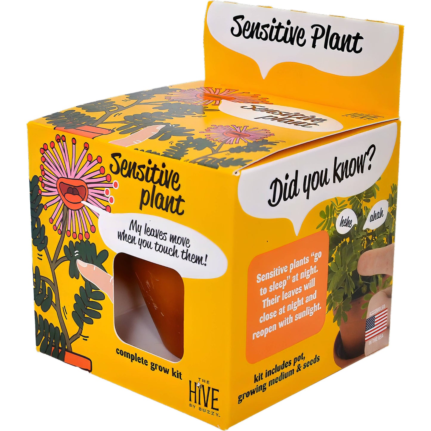 Sensitive Plant Grow Kit | Mimosa Pudica