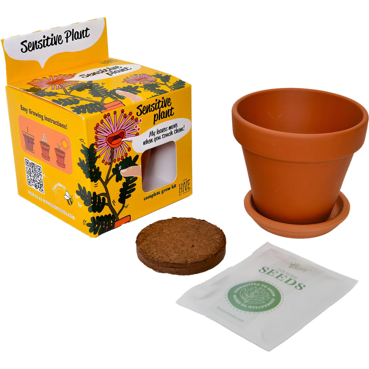 Sensitive Plant Grow Kit | Mimosa Pudica