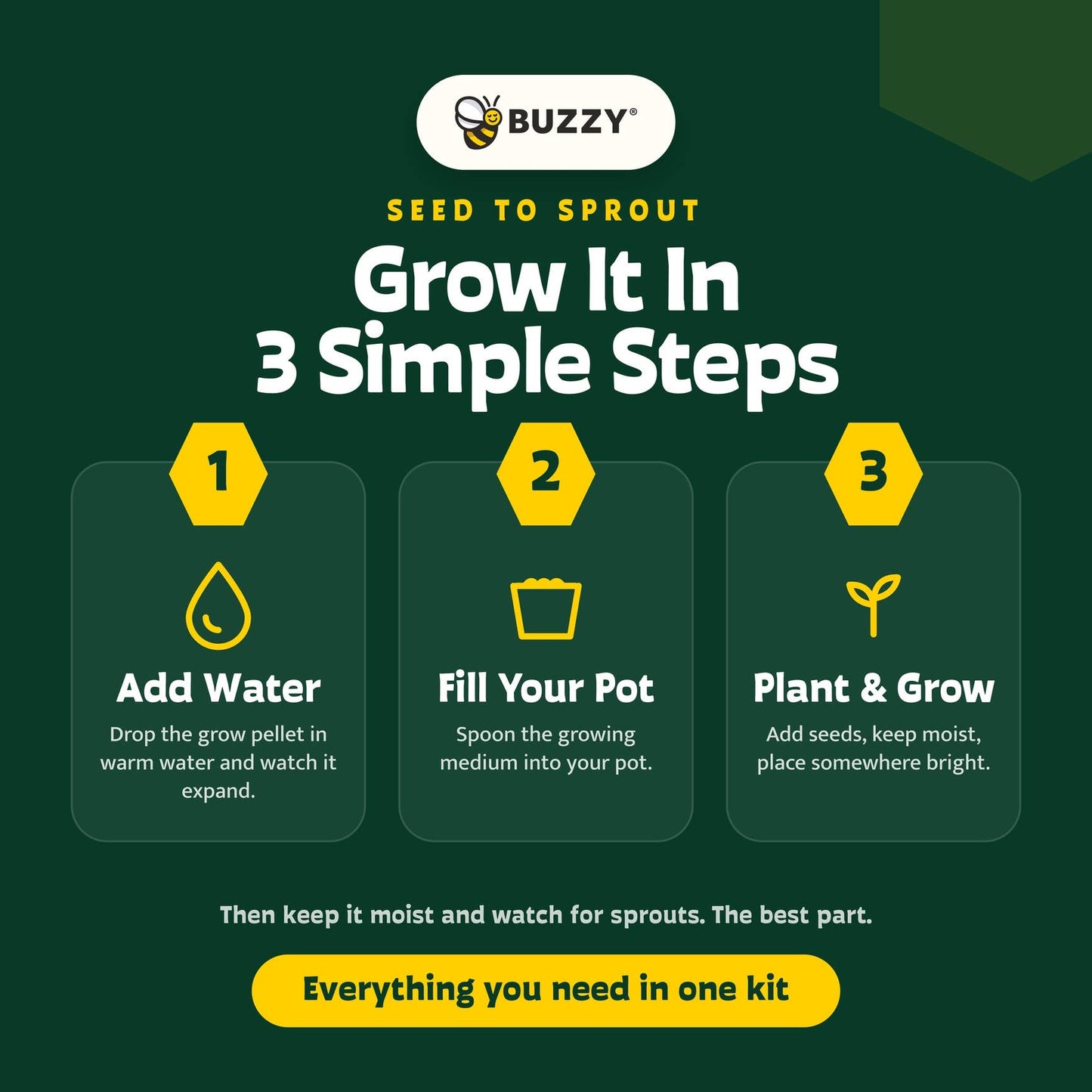 Sensitive Plant Grow Kit | Mimosa Pudica