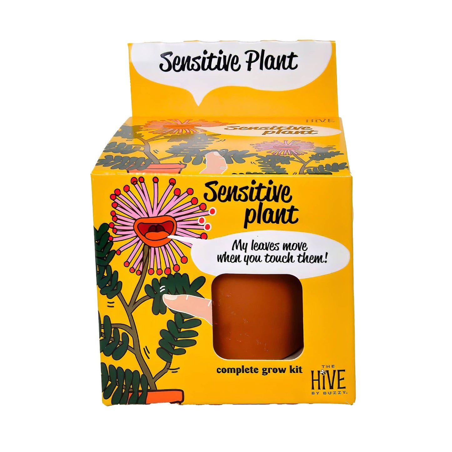 Sensitive Plant Grow Kit | Mimosa Pudica