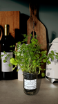 Mason Jar Indoor Herb Garden Supplies Kit with jar