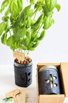 Basil Hydroponic Mason Jar Garden Kit